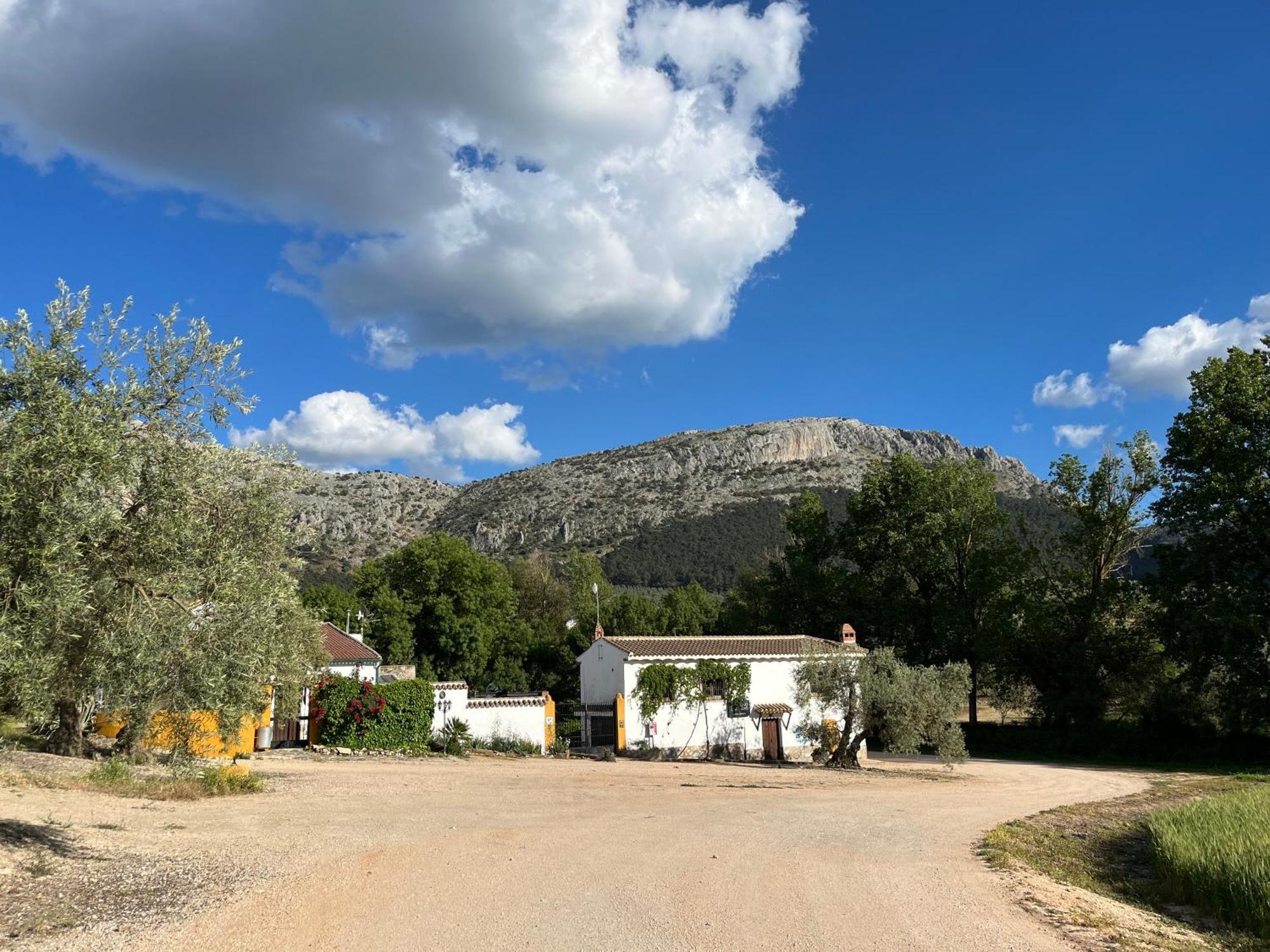 El Patio Del Molino - Hostal Rural Вильянуэва-дель-Трабуко Экстерьер фото
